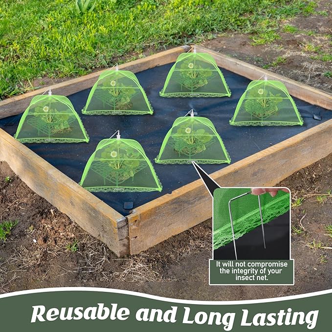 6 Sets Strawberry Plant Support with Mesh Plant Cover,Strawberry Growing Racks Sets with Iron Plant Nails and Storage Bag for Garden Strawberry Vegetables(Green Net - Square) Rootora
