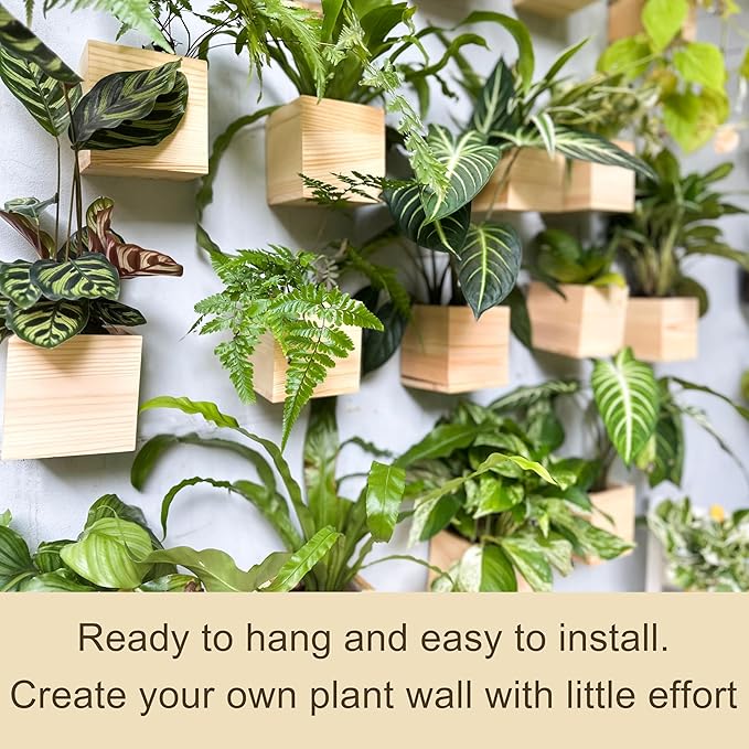 LaLaGreen Wooden Planter Box for Plants (4x4 Inch, 6 Pack) Small Square Wall Planters for Indoor Plant, Natural Wood Hanging Flower Boxes Herb Planter Table Centerpiece Modern Home Garden Office Decor L%C3%A1L%C3%A1Green