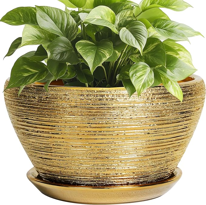 Ceramic Plant Pot Indoor - 9 Inch Planters for Outdoor Plants Decorative Plant Pot with Drainage Hole and Saucer Round Planter Modern Flower Pot Decorative for House Decor Gold Ceramicfor