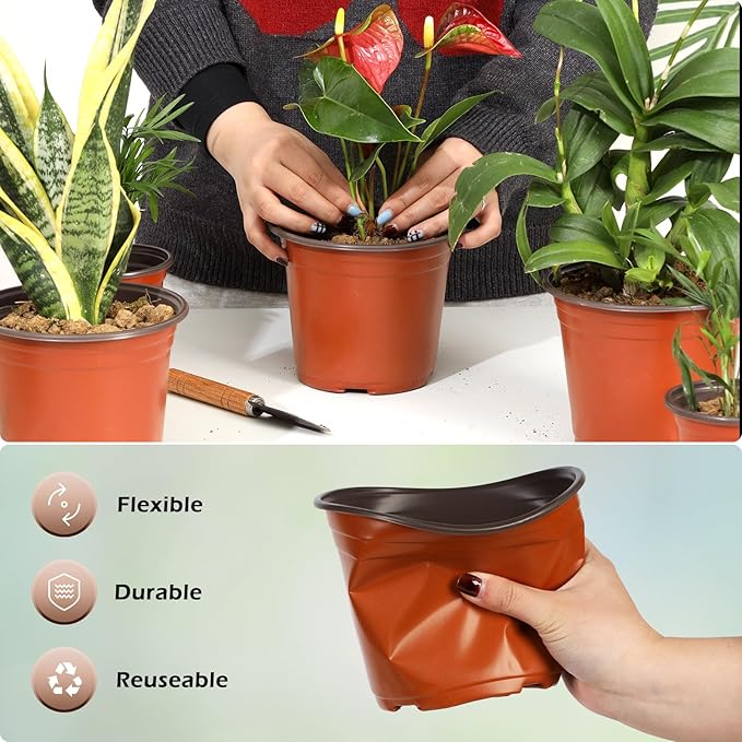 200 Pack 6 Inch Plastic Nursery Pots for Plants, Seedling Pots Succulent Pots Flower Pots with Drainage Holes, Come with 200pcs Plant Labels Hemikaki