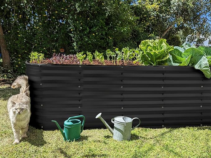 Plant & Plot Galvanized Raised Garden Beds Outdoor // 6×2×2 ft Planter Raised Beds for Gardening, Vegetables, Flowers // Large Metal Garden Box (Black) // Patented Tool-Free Design PlantPlot