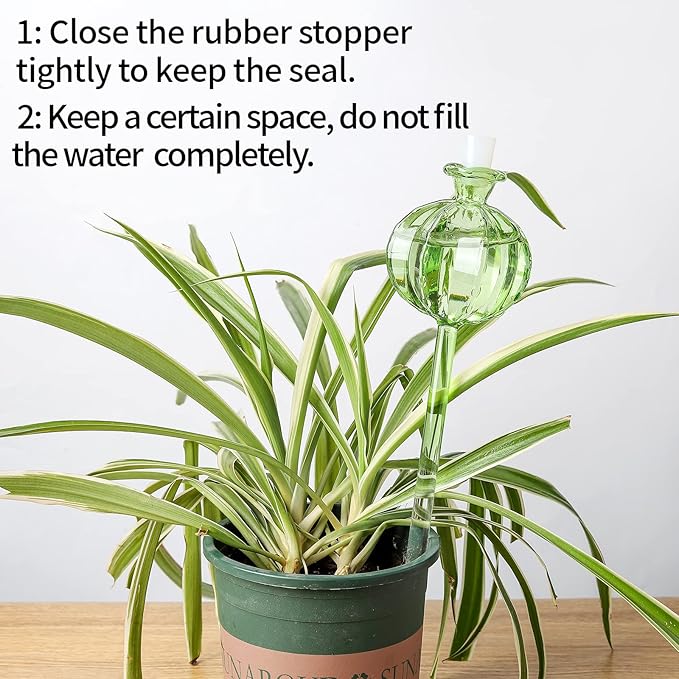 Self Watering Planter Insert. Plant Watering Devices. 3-Pack Cactus Plant Watering Bulbs. Plant Watering Globes. Plant Gifts Plant Lover Gifts KGCCIZI