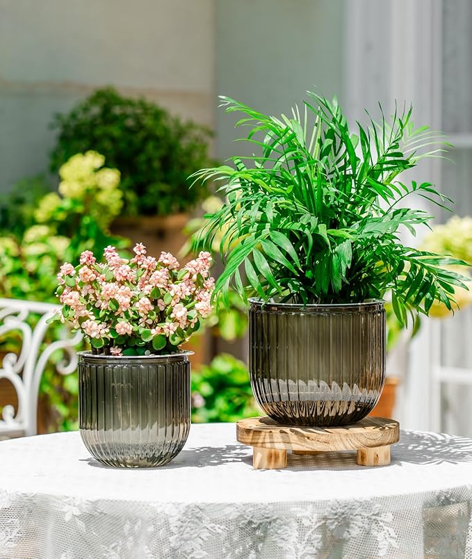 Melphoe Self Watering Pots for Indoor Plants Planter, 6.5/5.3 Inch 2 Pack Planters Self Watering Plant Pots for Flower, Houseplants, Succulent, African Violets and Cactus with Drainage Melphoe