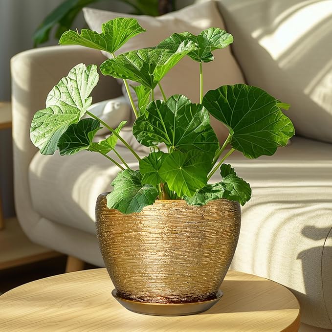 Ceramic Plant Pot 8 Inch - Planter for Outdoor Plants Indoor Plant Pot with Drainage Hole and Saucer Decorative Round Planter Modern Flower Pot for House Decor Gold Ceramicfor
