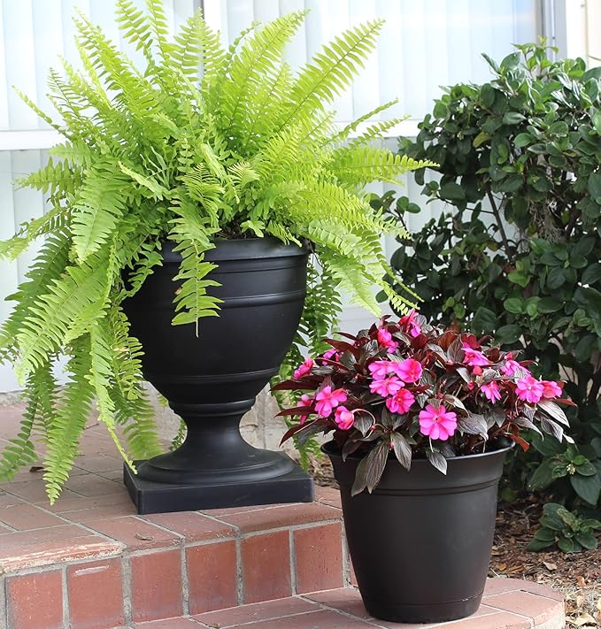 The HC Companies Eclipse Round Planter with Saucer - Outdoor & Indoor Plant Pot with Drainage Holes - Lightweight, UV-Resistant Plastic Pots for Plants, Flowers & Herbs (6" Black, Pack of 1) TheHCCompanies