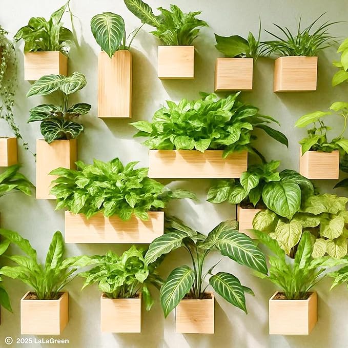 LaLaGreen Wooden Planter Box for Plants (4x4 Inch, 4 Pack) Small Square Wall Planters for Indoor Plant, Natural Wood Hanging Flower Pot Herb Planter Table Centerpiece Modern Home Garden Office Decor L%C3%A1L%C3%A1Green