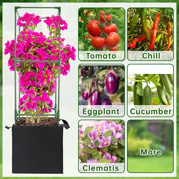 ANPHSIN 3 Sets Tomato Cages with 10 Gallon Grow Bags - 47'' Stable Plant Support Trellis Kit, Square Cages with Planter Pots for Garden Flowers Vegetables Cucumber Vertical Climbing Plants Vines ANPHSIN