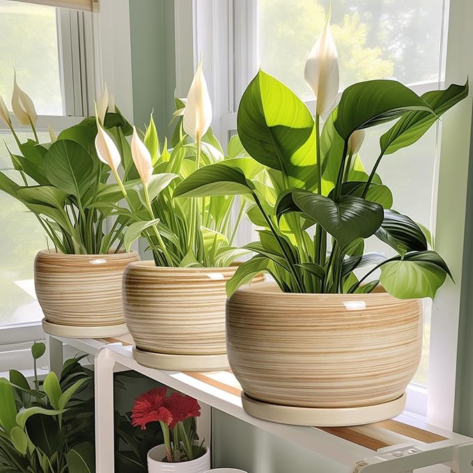 SQOWL Ceramic Planter- 8 Inch Plant Pot Indoor Outdoor, Round Planter with Drainage Hole and Plant Saucer, Decorative Modern Ceramic Flower Pot, Living Room Decor, Garden Gifts, Yellow SQOWL
