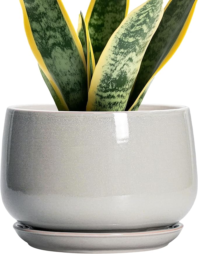 G EPGardening Ceramic Plant Pots - 7 Inch Plant Pot with Drainage and Saucer, Ceramic Planters for Indoor Outdoor Plants, Modern Round Planter, Room Decor, Gardening Gifts for Women Men, Light Grey GEPGardening