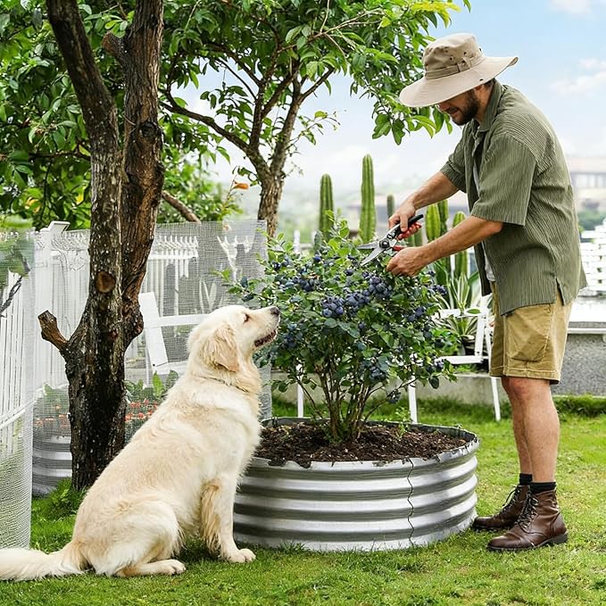 Round Galvanized Raised Garden Bed Kit, Round Galvanized Planter for Vegetables/Herbs/Flowers Heavy-Duty Steel Outdoor Water Trough (Silver, 3X3X1FT) Rootora