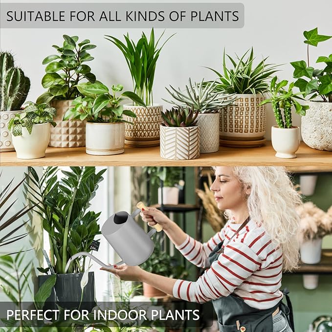 Watering Can Indoor Plants, 35oz Small Indoor Stainless Steel Metal Watering Can Modern Decorative Watering Pot with Long Spout for Indoor House Plant Bonsai Garden Flowers (Gray) GUKJOB