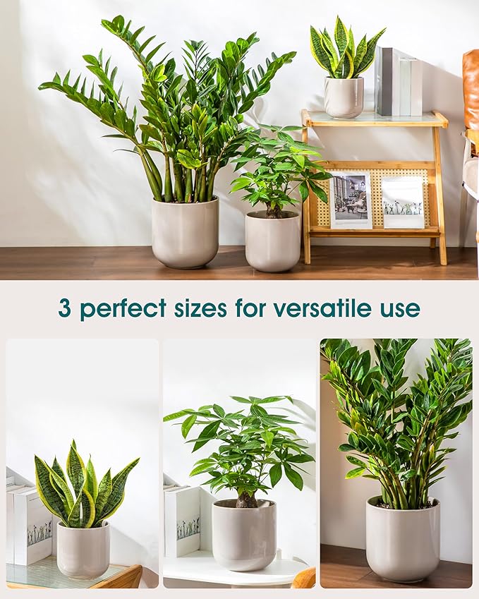 vancasso 6+8+10 inches Ceramic Plant Pots, Set of 3, Planters with Drainage Hole, Flower Pots Planters Pots for Indoor Plants, Modern Indoor Decorative Garden Pot, Home Decor, Gray vancasso