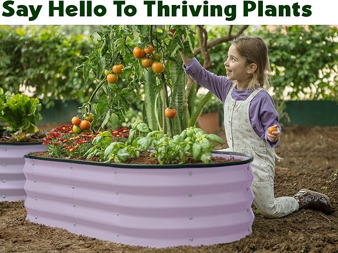 Plant & Plot Galvanized Raised Garden Beds Outdoor // 4×2×1 ft (2-Pack) Planter Raised Beds for Gardening, Vegetables, Flowers (Lavender) // Large Metal Garden Box PlantPlot