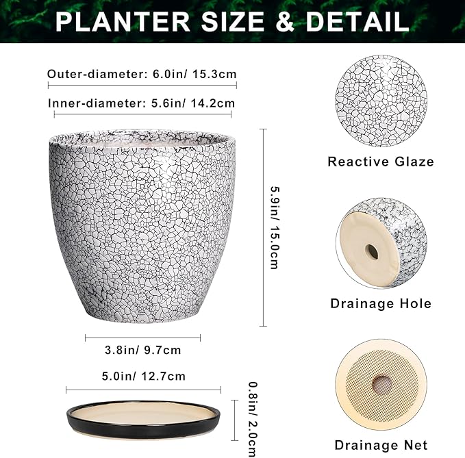 Ceramic Plant Pots - 6 Inch Planters for Indoor Outdoor Plants, Round Plant Pot with Drainage Hole and Saucer, Ceramic Succulent Pots, Desk House Decor, Gardening Gifts for Women, White-Black EPFamily