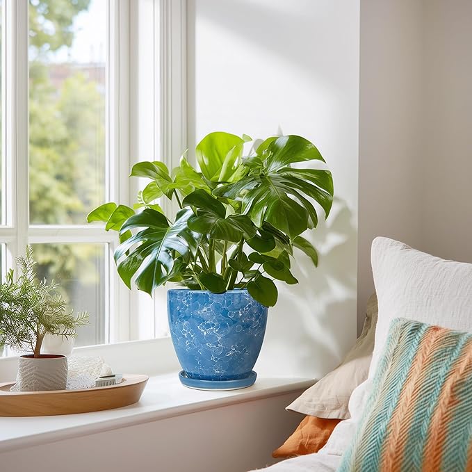 6 Inch Ceramic Plant Pot - Ceramic Planters with Drainage Hole and Saucer, Round Decorative Planter, Modern Planters for Indoor Outdoor Plants, Desk Office Decor, Housewarming Gifts, Blue EPFamily