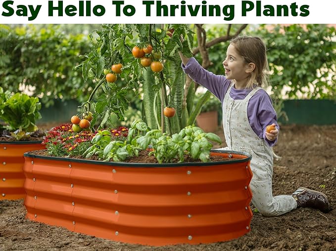 Plant & Plot Galvanized Raised Garden Beds Outdoor // 4×2×1 ft Planter Raised Beds for Gardening, Vegetables, Flowers (Orange) // Large Metal Garden Box PlantPlot