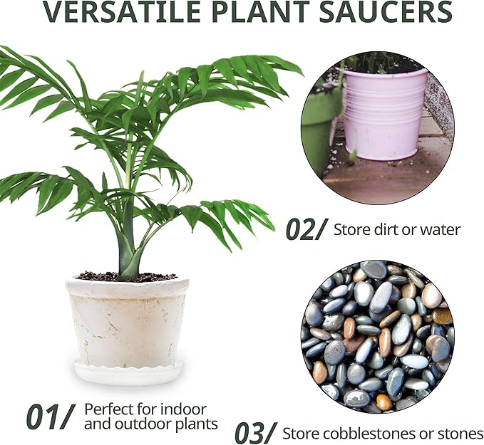 Plant Saucer, 7 Pack 8 10 12 14 15 Inch Durable Plastic Plant Trays for Pots, White & Black Round Plant Pot Saucers, Drip Tray for Indoor and Outdoor Garden (8", for 5 6 Inch Pot) Lifecouldbesointeresting