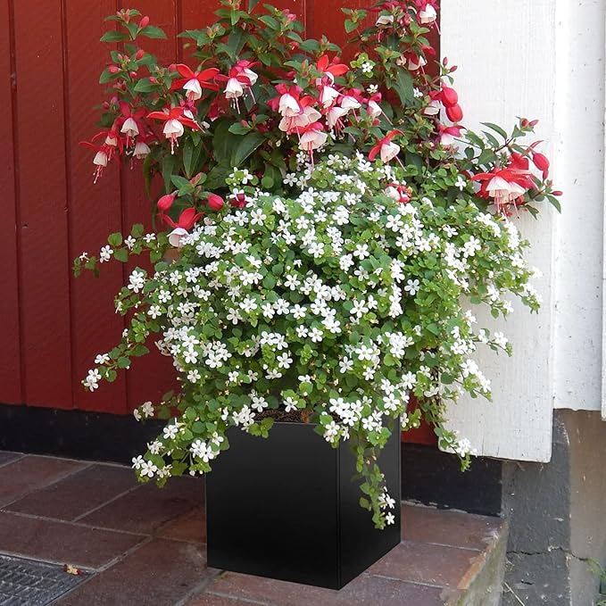 Galvanized Steel Planter Box Black Metal Planter 16Inch Square Indoor Outdoor Planters Cube Steel Heavy Duty Powder Coating Modern Commercial Residential for Patio, Yard, Garden GZGNEEVL