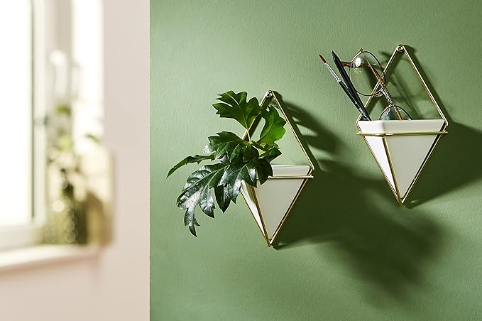 Umbra Trigg Hanging Planter Vase Wall Decor, Set of 2 Pots Containers for Succulents, Cactus, Faux Plants, and More, Small, White/Brass Umbra