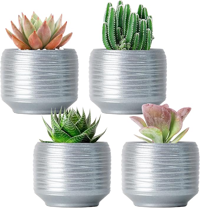 Mini Succulent Planter Set – 3.7 Inch Ceramic Pots with Drainage for Indoor Plants, Small Decorative Flower Pots for Cactus and House Plants, Set of 4 Bestseler