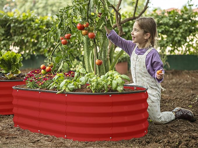 Plant & Plot Galvanized Raised Garden Beds Outdoor // 4×2×1 ft Planter Raised Beds for Gardening, Vegetables, Flowers // Large Metal Garden Box (Red) // Patented Tool-Free Design PlantPlot