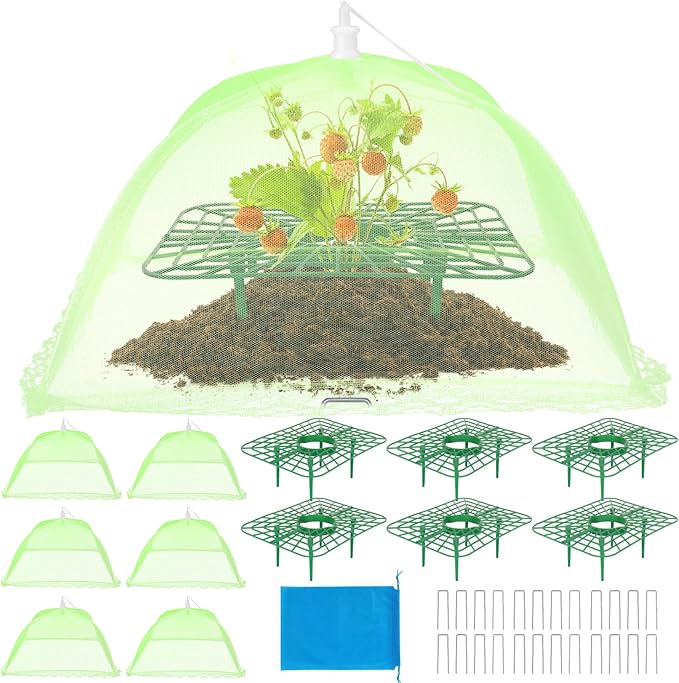 6 Sets Strawberry Plant Support with Mesh Cover - Square Gardening Frame, Animal Barrier, Iron Stakes & Storage Bag for Healthy Strawberries, Tomatoes, Veggies (Green) (6 pcs) NODMIPNS