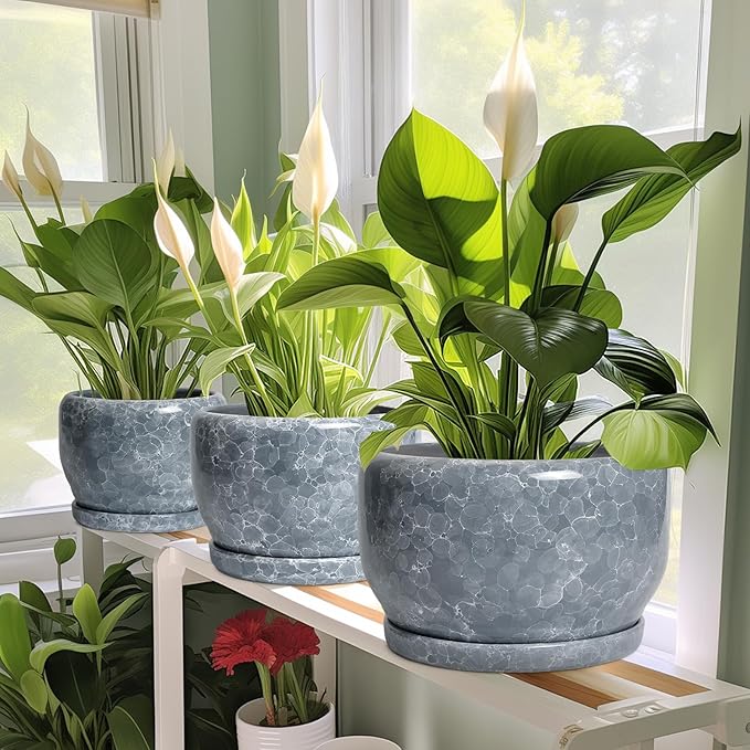SQOWL Ceramic Pot for Plants - 10 Inch Plant Pot Indoor with Drainage Hole and Saucer, Round Ceramic Planter, Decorative Large Flower Pot Outdoor, Home Office Room Decor, Garden Gifts, Gray SQOWL