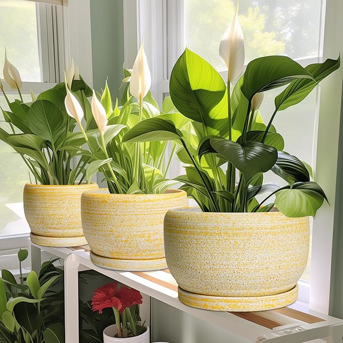SQOWL Ceramic Flower Pots - 8 inch Plant Pot Indoor with Drainage Hole and Saucer, Modern Ceramic Planter Outdoor, Round Decorative Planter, Living Room Home Decor, Gifts for Plant Lovers, Yellow SQOWL