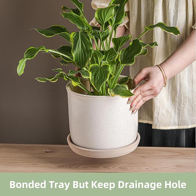 8 Inch Plant Pot: Ceramic Planter with Drainage Hole & Saucer for Indoor Outdoor Plants - Flowerpot with Bonded Tray for Home Office - Retro Style, Grey Chubacoo
