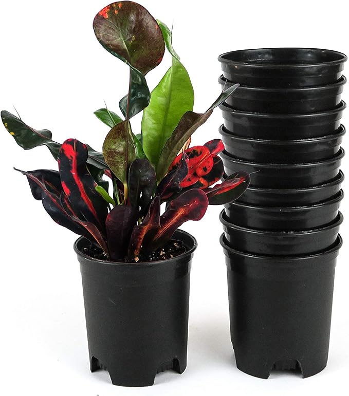 Wholesale Bulk Nursery Pot 4 Inch Black Plastic Planters 30-Pack 0.25 Gallon Pots for Outdoor Indoor Plants Gardening Flower with Drainage Holes CottaPlanters