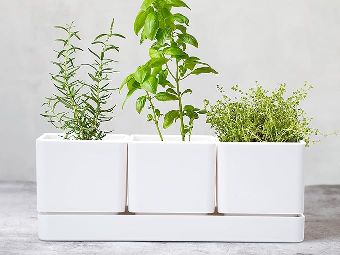 D'vine Dev Herb Garden Planter Set, Plastic Plant Pots with Drainage and Saucer, Indoor Succulent Cactus Vegetable Pot for Windowsill, Garden Balcony, White, Set of 2, 76-V-A-2 DvineDevPlanterPotsandStand