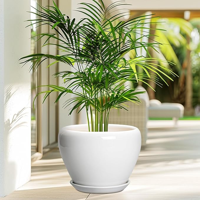 Ceramic Pot for Plants - 10 Inch Planter with Drainage Hole and Saucer, Glaze Modern Round Flower Pot for Indoor Plants, Housewarming Gift, Home Decor, White Ceramicfor