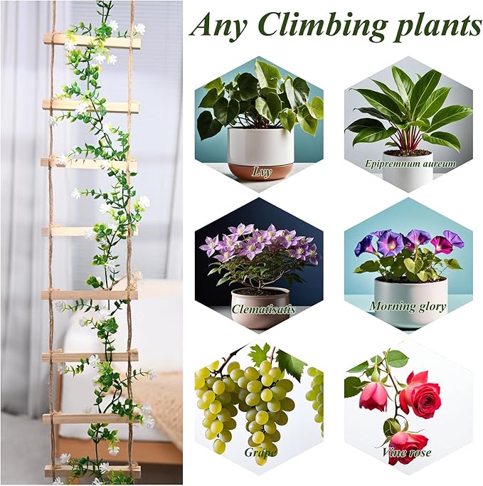 2PCS Chain Trellis for Climbing Plants - Natural Wood Indoor Plant Support, Durable 6.5 Inch by 4 Feet Design, Perfect for Pothos, Ivy, and Vines with Easy Installation Hook Yohsnor