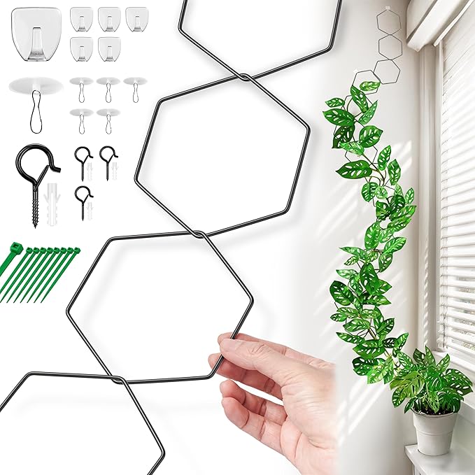 Chain Trellis for Climbing Plants - Indoor & Outdoor House Plant Accessories for Monstera, Pothos, Ivy, and More | Garden Wall Trellis and Plant Vine Support - Houseplant Accessories and Plant Gifts Filda