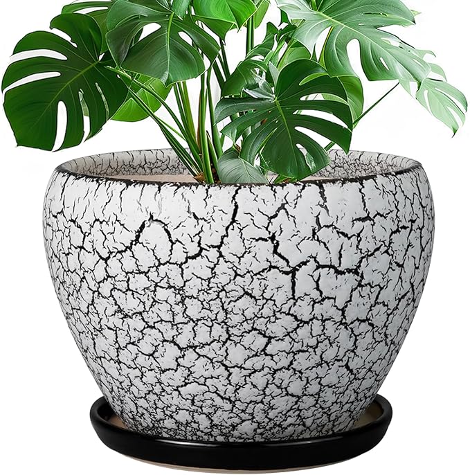 Ceramic Planters for Indoor Plants - 10 Inch Plant Pot with Drainage Hole and Saucer, Large Flower Pot for Home Decor, White/Black Ceramicfor