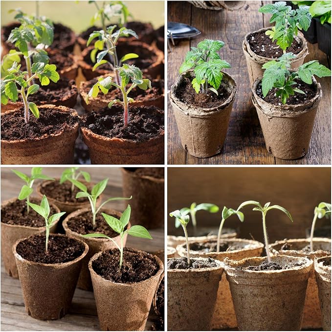 homenote Peat Pots, 120 Pcs 3.15 Inch Seed Starting Pots with Drainage Holes Round Nursery Plants Pots with Bonus 20 Plant Labels HOMENOTE