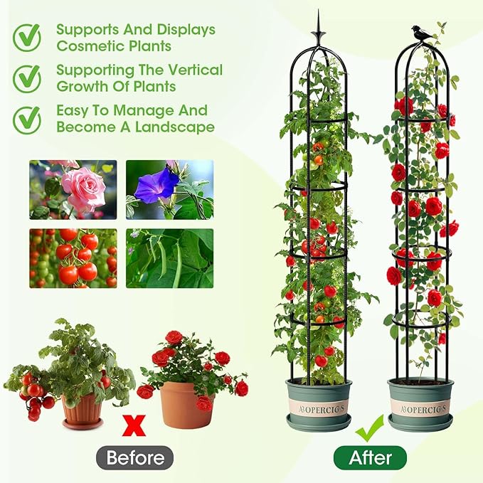 2026 Updated Garden Obelisk Trellis for Climbing Plants Outdoor, 6.3 FT Tomato Cage, Rose, Flowers, Grape, Pea, Cucumber Trellis, Rustproof Plastic Coated Metal Plant Support Trellis for Potted Plants MYMULIKEHOME