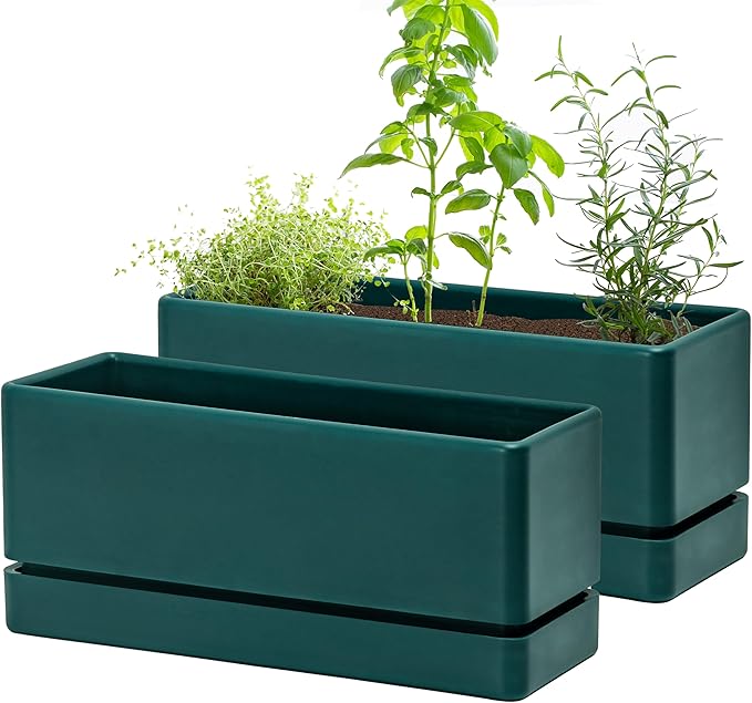 D'vine Dev 12 Inch Window Box Planter, Rectangle Plastic Herb Planter with Drainage Holes and Saucer, Indoor Succulent Cactus Vegetable Pot for Windowsill, Garden Balcony, Green, Set of 2, 76-X-C-2 DvineDevPlanterPotsandStand