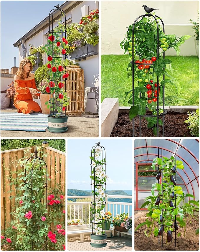6.2ft Garden Obelisk Trellis for Climbing Plants Rustproof Metal Pipe with Heavy Duty Plastic Coated Garden Outdoor Indoor Potted Plant Support for Clematis Vine Jasmine Support MYMULIKEHOME