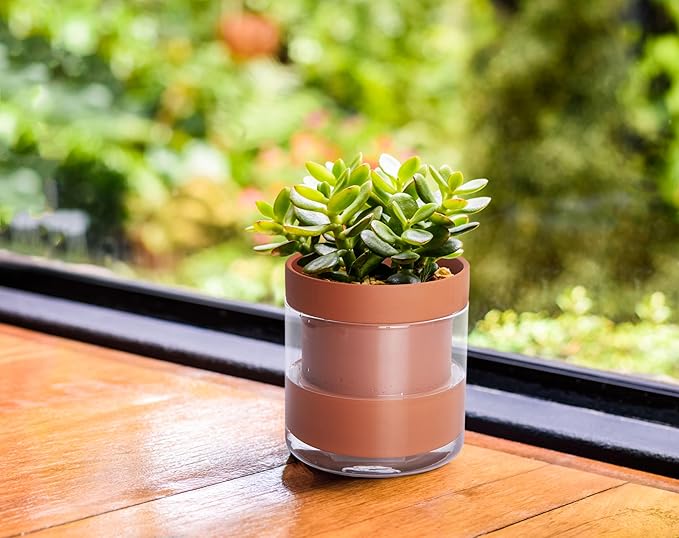 Phoenix Vine 4 Inch Self Watering Planter Pot, Terracotta Clay Pot with Glass Reservoir for Indoor Plants, Herbs, Flowers, Set of 3, 52-A-E-3 Phoenix+Vine