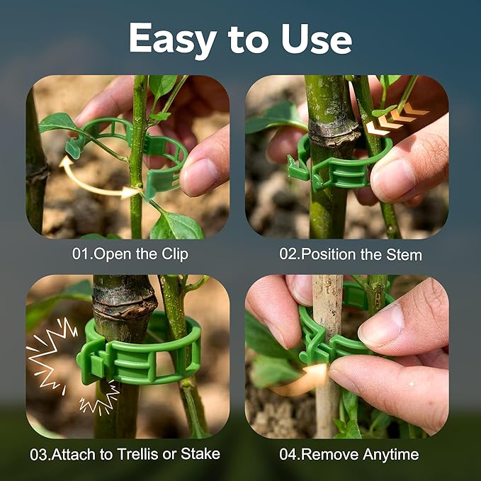 100pcs Tomato Clips for Climbing plants, Plastic Trellis Plant Support Clips for Garden, Reusable Clips for Supporting Grape Tomato Vine and Vegetables Plants to Grow Upright Makes Plants Healthier LOOHOI