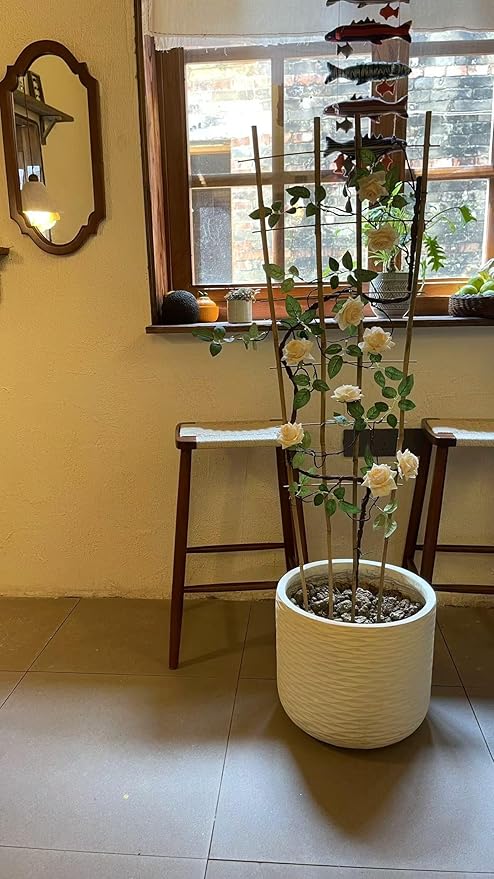Natural Bamboo Trellis, 4Feet,3Pack,Fan-Shaped Plant Support Trellis for Outdoor and Indoor Potted Climbing Plants,Vegetables, Cucumber, Tomato, Hoya, GUANGYE