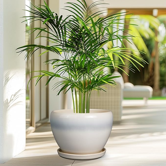10 Inch Ceramic Planter Pot - Large Plant Pot with Drainage Hole and Saucer Round Flower Pot for Indoor Plants, White Ceramicfor