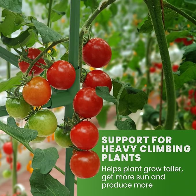 Tomato Cage Square - Large Trellis Stakes and Plant Support Structures for Vegetables and Climbing Plants - Tall Tomato Cages for Garden, Pots, Raised Garden Bed Outdoor Supplies (1 Pack - Up to 58") K-BRANDS