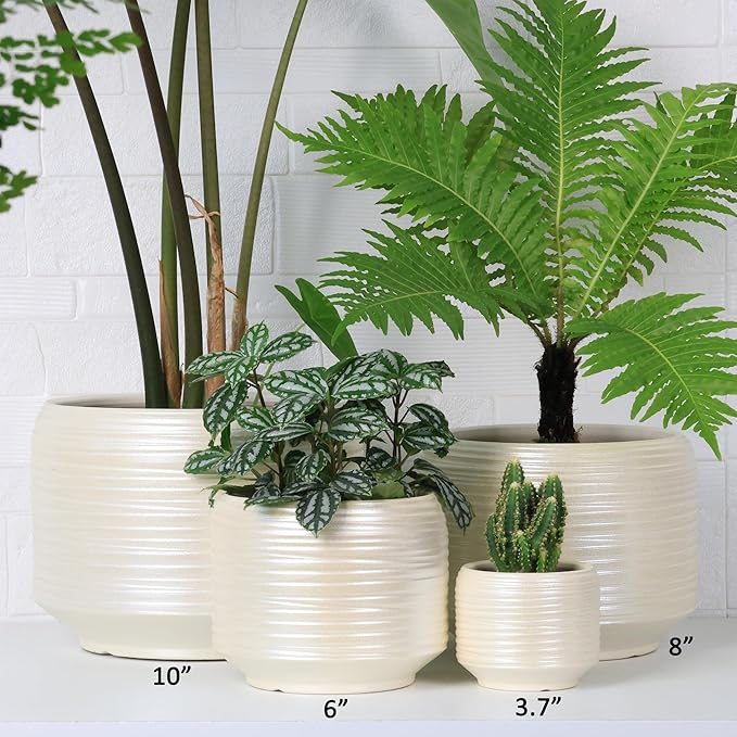 8 Inch + 6 Inch Ceramic Plant Pots Indoor with Drainage – Flower Pot Set, Decorative Indoor Planters for House Plants and Garden Use Bestseler