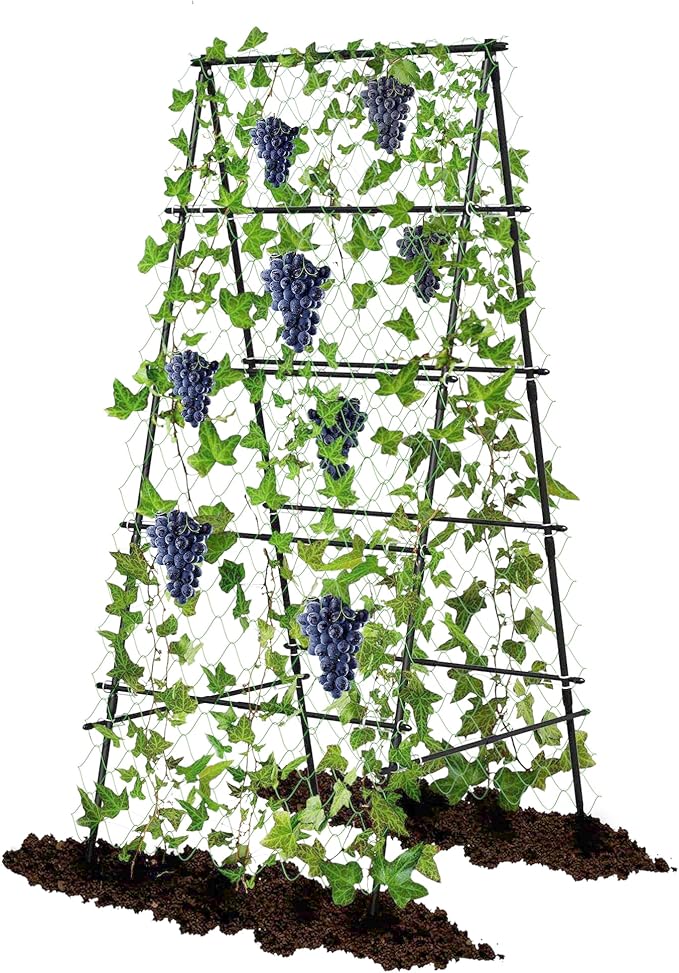 Garden Trellis for Climbing Plants, A-Shape Garden Plant Support Frame for Raised Bed Vegetables, Provides Support for Beans, Tomatoes and Cucumber, Black AlisisFores