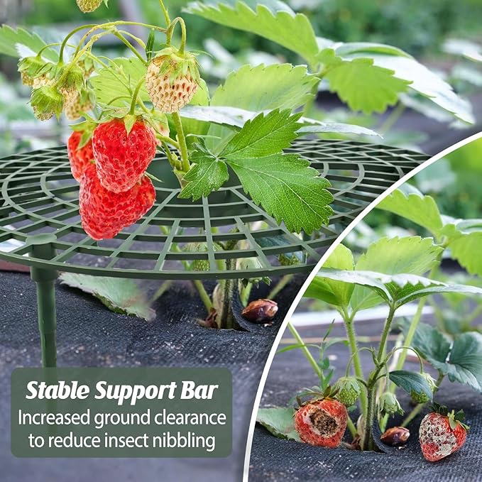 6 Sets Strawberry Plant Support with Mesh Plant Cover,Strawberry Growing Racks Sets with Iron Plant Nails and Storage Bag for Garden Strawberry Vegetables(Green Net - Round) Rootora