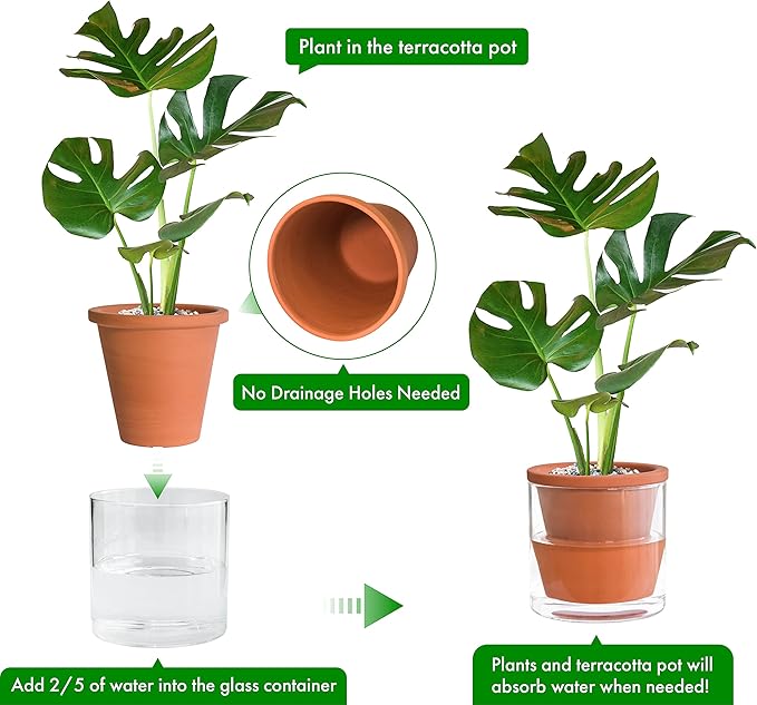 D'vine Dev 6 Inch Design Self Watering Pot for Indoor Plants, Terracotta Planter with Cylinder Glass Cup, 37-X-B-1 DvineDevPlanterPotsandStand