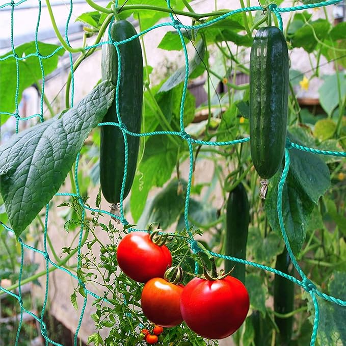 Trellis Netting for Climbing Plants - Heavy Duty Garden Trellis Netting for Cucumber, Vine, Fruits & Vegetables Tomato Plants Trellis Net, Climbing Vining Plants (1-Pack 16.4' x 6.6'Ft) Miuezuth