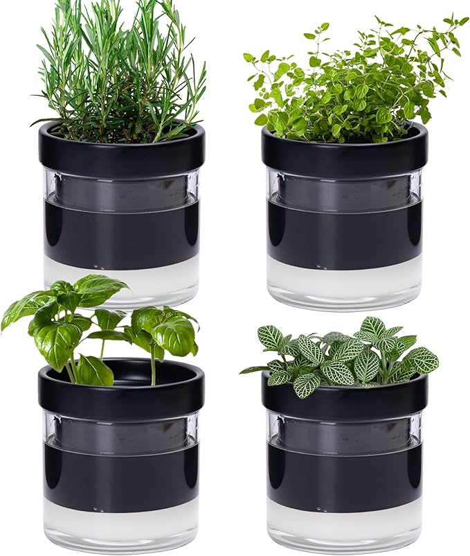 Phoenix Vine 4 Inch Self Watering Planter Pot, Black Terracotta Clay Pot with Glass Reservoir for Indoor Plants, Herbs, Flowers, Set of 4, 52-C-E-4 Phoenix+Vine